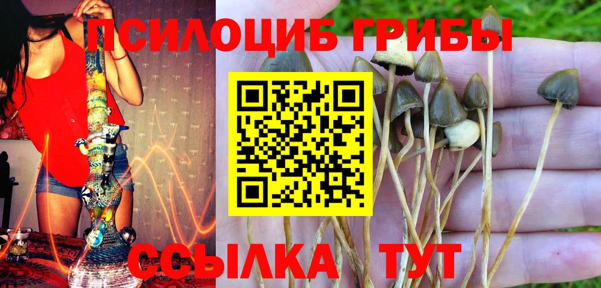 Псилоцибиновые грибы мухоморы  Псилоцибиновые грибы Psilocybe  Вход с VPN  Шелехов 